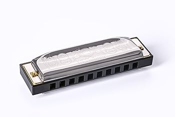 Amazon.co.jp: HOHNER SPECIAL 20/Bフラット スペシャル20 10